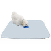 Paw Inspired Speed Spot blue patch visual target guides training and housebreaking.