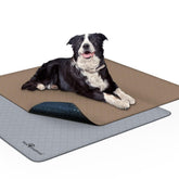 Paw Inspired top-view two-pack pads ideal for home potty training