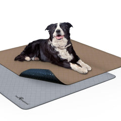 Paw Inspired top-view two-pack pads ideal for home potty training