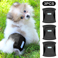 Paw Legend belly band worn by a male dog during daily home life.