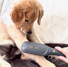 PAW WAVE Buzz Therapeutic Brush veterinarian-recommended approach for relaxing pets.