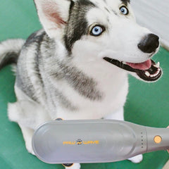 Veterinarian-approved PAW WAVE Perk signals trusted at-home therapy.
