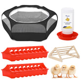 Pawaboo Chick Brooder Box provides a secure, clean habitat for young chicks.