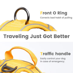 Pawaii digital ID tag on harness with QR code for quick contact lookup