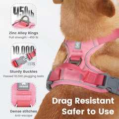 Pawaii No Pull Harness built with breathable mesh to keep dogs cool on walks.