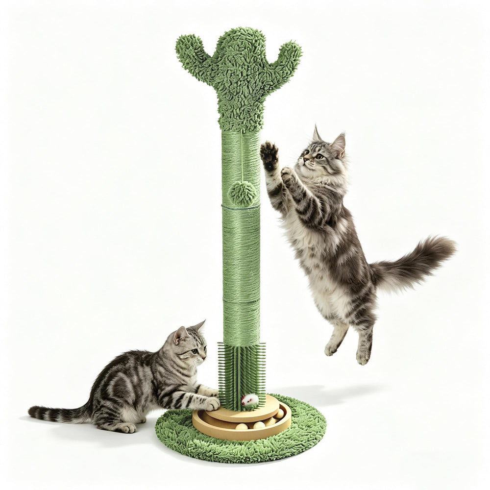 Pawalaya cactus cat scratching post provides sturdy indoor scratching.