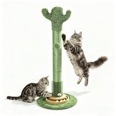 Pawalaya cactus cat scratching post provides sturdy indoor scratching.