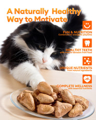 Pawaura Freeze-Dried Chicken Hearts closeup reveals natural texture for protein-rich treats.