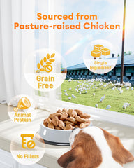 Pawaura Freeze-Dried Chicken Hearts ingredients highlight single-meat composition.