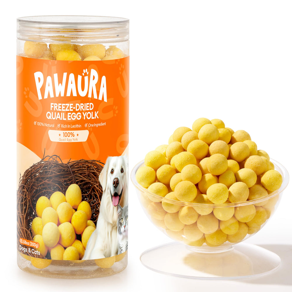 Pawaura quail egg yolk treats bag closeup, premium single-ingredient snack for dogs and cats.