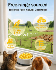 Pawaura single-ingredient treats closeup highlighting clean ingredient profile for pets.