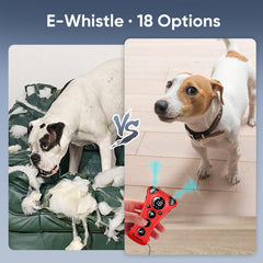 PawBehave strobe mode highlighting attention during training