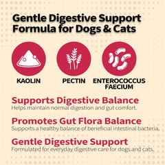 PawBliss paste with chicken flavor easily administered to dog
