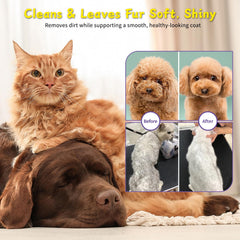 PawBubble Wipes packaging highlights safe, fragrance-free formula.
