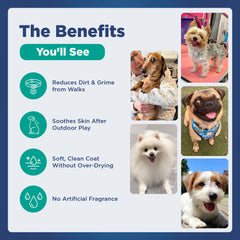 Pawfect by FurFresh sulfate-free ingredients shown on packaging for safe grooming.