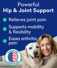 PAWFECTCHEW chondroitin MSM omega-3 bottle for daily joint care