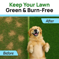 PAWFECTCHEW digestive-support chews: supports digestion while deterring urine damage.