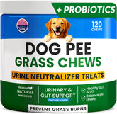 PAWFECTCHEW green grass dog chews jar promotes lawn health and balanced dog urine