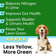 PAWFECTCHEW probiotic-enhanced chews: includes probiotics for overall gut balance.
