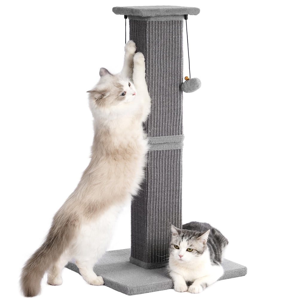 Pawfessor large cat scratching post base offers stable support for energetic climbers.