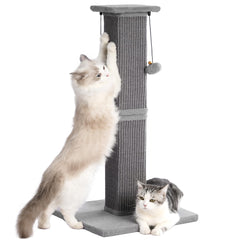 Pawfessor large cat scratching post base offers stable support for energetic climbers.