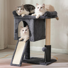 Pawfessor small cat tree top bed offers cozy elevated rest for larger cats.