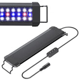 Pawfly 11W terrarium light with full spectrum for vivid reptile viewing