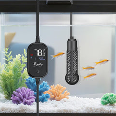 Pawfly 50W submersible heater front view with digital display for small aquariums.