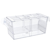 Pawfly acrylic breeding box viewed from above showing hatchery space.