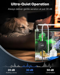 Pawfly ultra-quiet air pump in operation for peaceful fish room