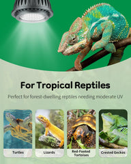 Pawfly UVB lamp designed for tropical reptiles and red-footed tortoise habitats.