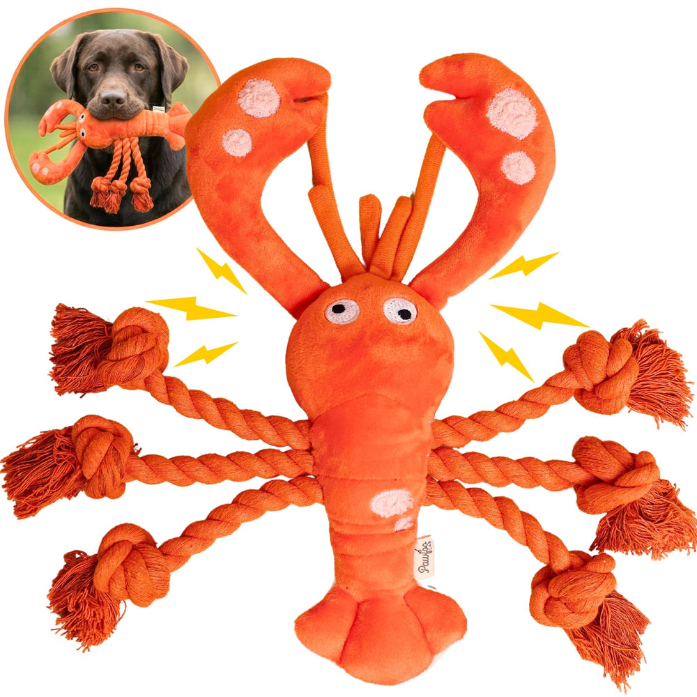 Pawfoo Lab lobster toy head squeaker for interactive play