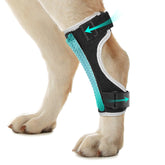 Pawfun dog leg brace back left angle supports stabilized movement during walks