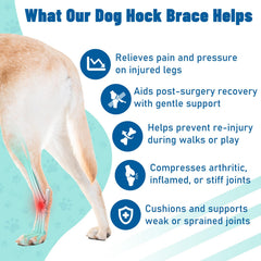 Pawfun dog leg brace back right angle demonstrates rear support for gentle jogs