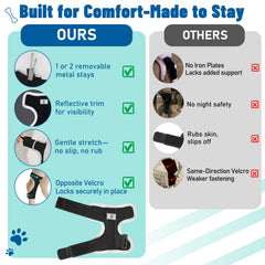 Pawfun dog leg brace front-view highlights secure fit during daily activity