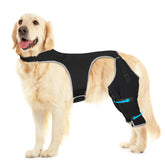 Pawfun dog rear leg sleeve demonstrating wound protection during a walk.
