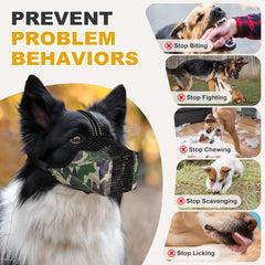 Pawfun durable nylon construction built for daily use and reliability.
