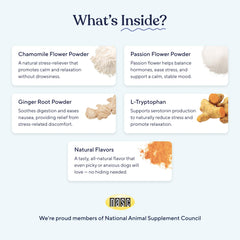 Pawfy Calming Chews dog-relaxing-on-sofa: helps ease separation anxiety.