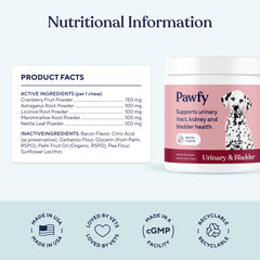 Pawfy UTI supplement for elder dogs shows active senior dog enjoying daily walks.