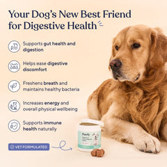 Pawfy Probiotics bacon-flavor dog chews for tasty supplementation