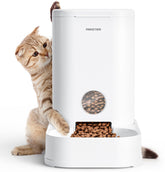 PAWGETHER Gravity Feeder front view shows steady meals for busy owners.