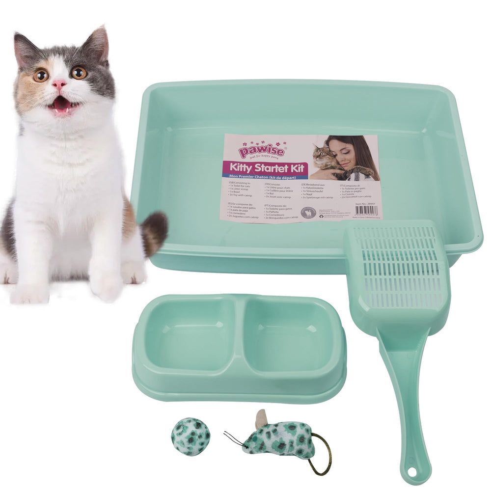 PAWISE small cat litter box with low-entry design for easy kitten access and training