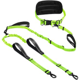 PawistaPal hands-free two-dog leash setup with comfortable waistband for walks.