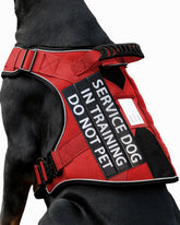 PawistaPal service dog training vest for everyday reliability and adjustable fit