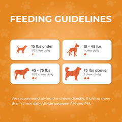Pawlabs G-Max Joint Chews dog eating scene demonstrates easy daily dosing.