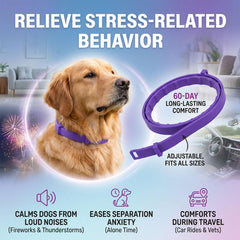 Pawlax water resistant dog collar suitable for daily adventures