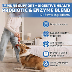 Pawlooza Dandelion Root ingredient close-up signals gentle detox and digestive comfort.