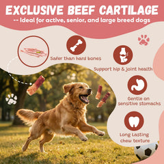 Pawmate rawhide-free grain-free dog treats on shelf for dental health support