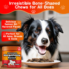 Omega-3/6 focus on dog fur and skin with Pawnnergy visuals.