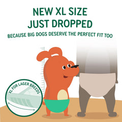 PAWPANG liner features an odor-control layer for fresher interiors between changes.